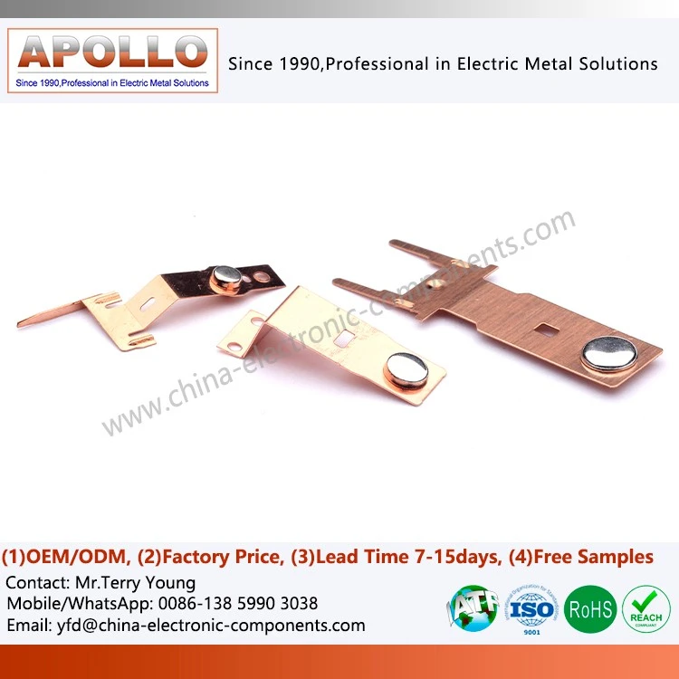 Beryllium Copper Stampings